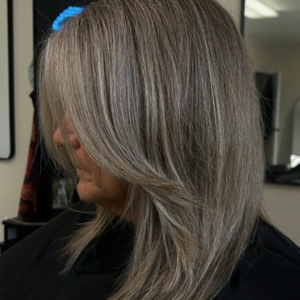 ✨ I Want To Blend My Gray at The Village Salon in Powhatan, VA