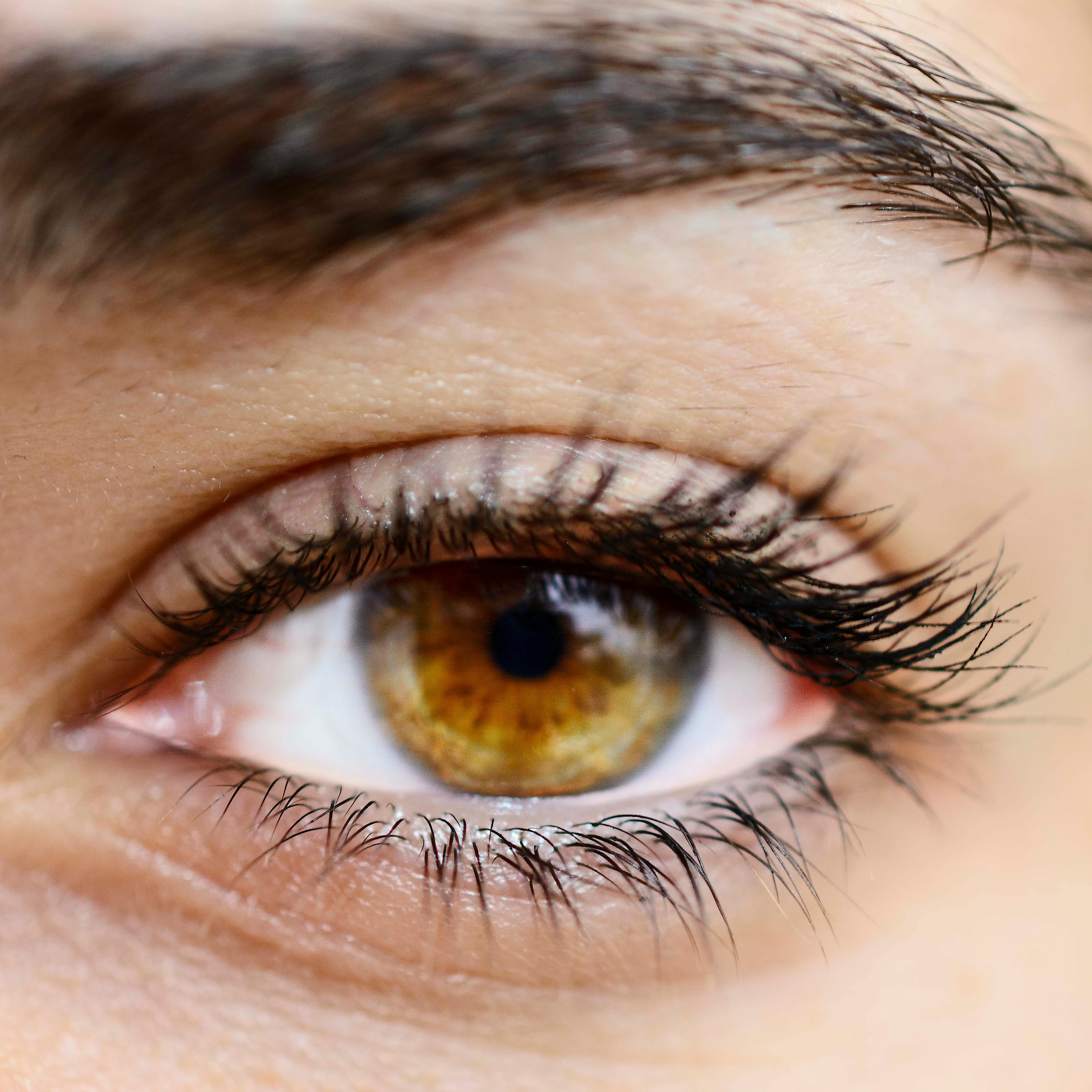 Lash Lamination/Perm at River City Skin Studio in North Chesterfield, VA