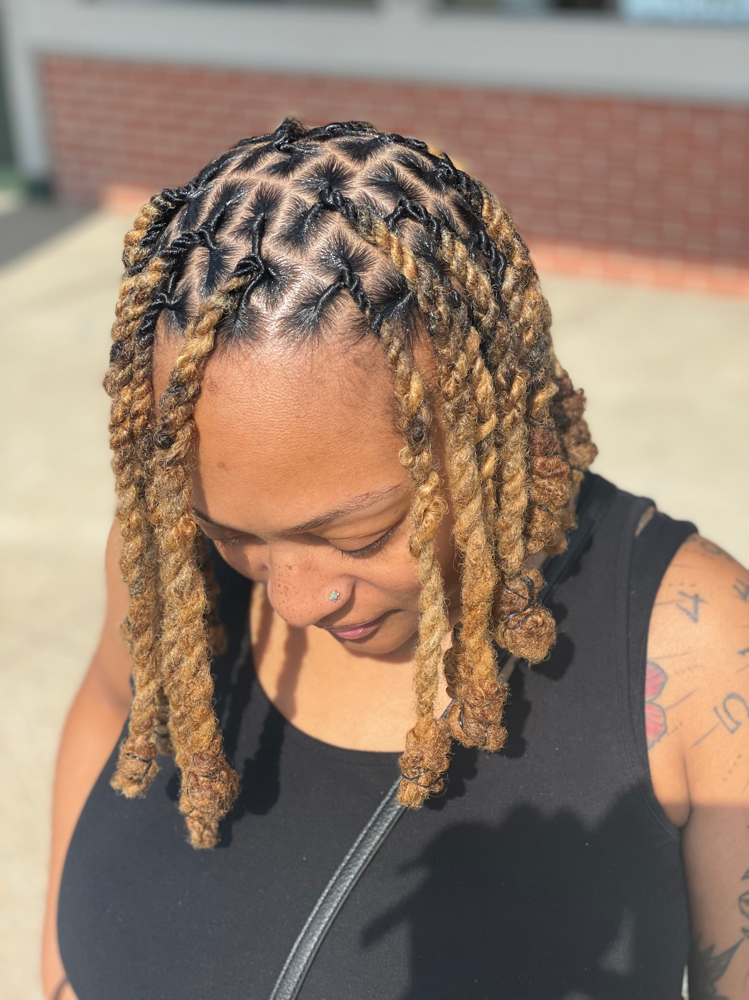 Mid-Back Length Loc Bob
