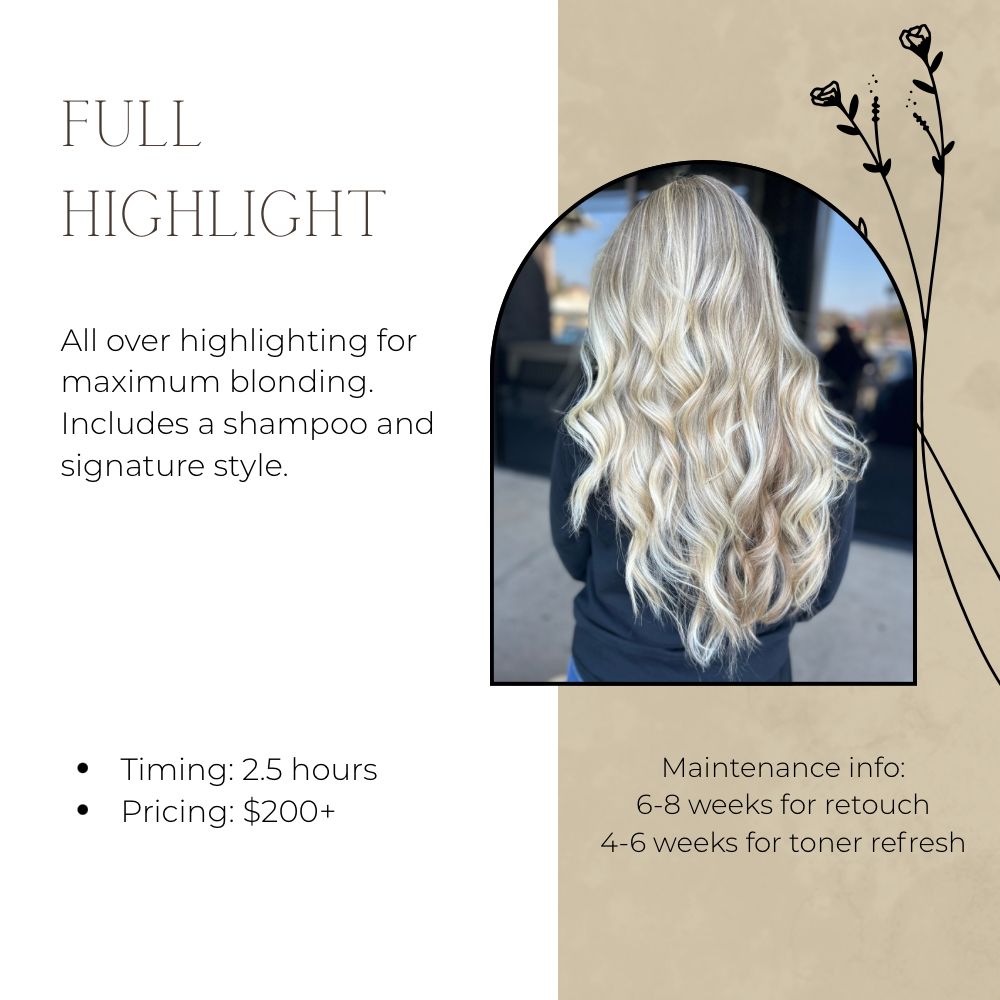 Full Highlight at Carley’s Color Lounge in Fort Worth, TX
