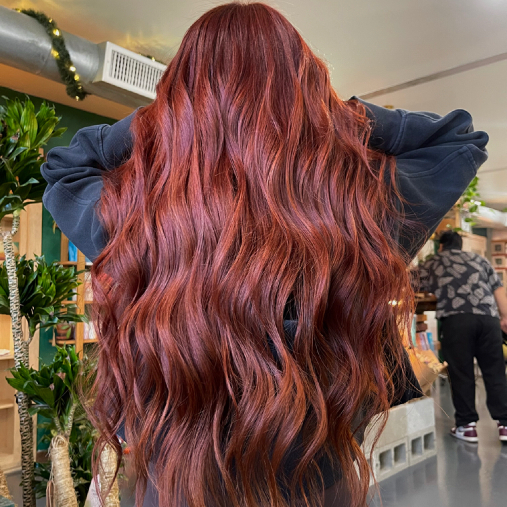 COLOR SERVICES (no lightener) at annnathealchemist in Dallas, TX