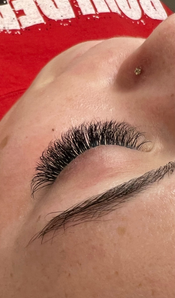 LASH FILL - HYBRID