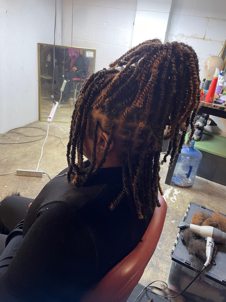 Mini Twists (Adult)