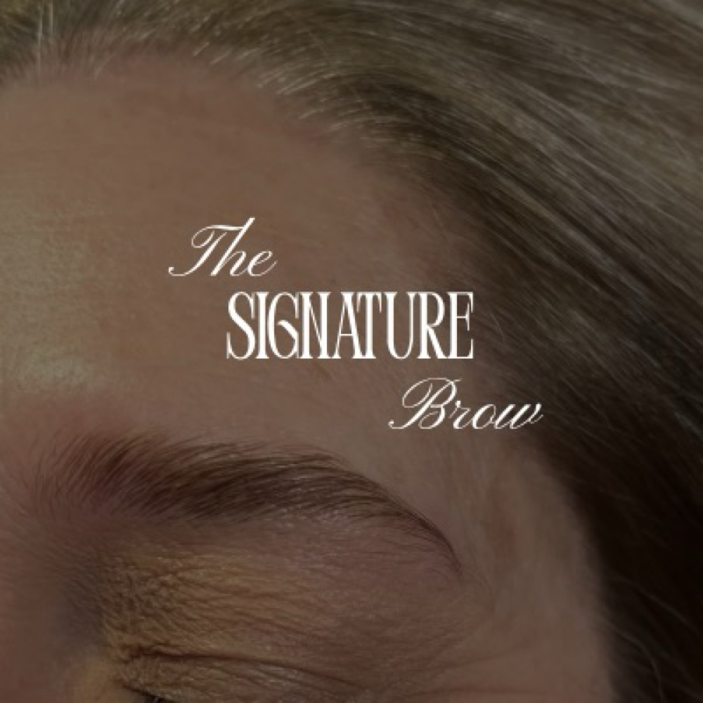Signature Brow at Laney Beth Beauty in Franklin, TN