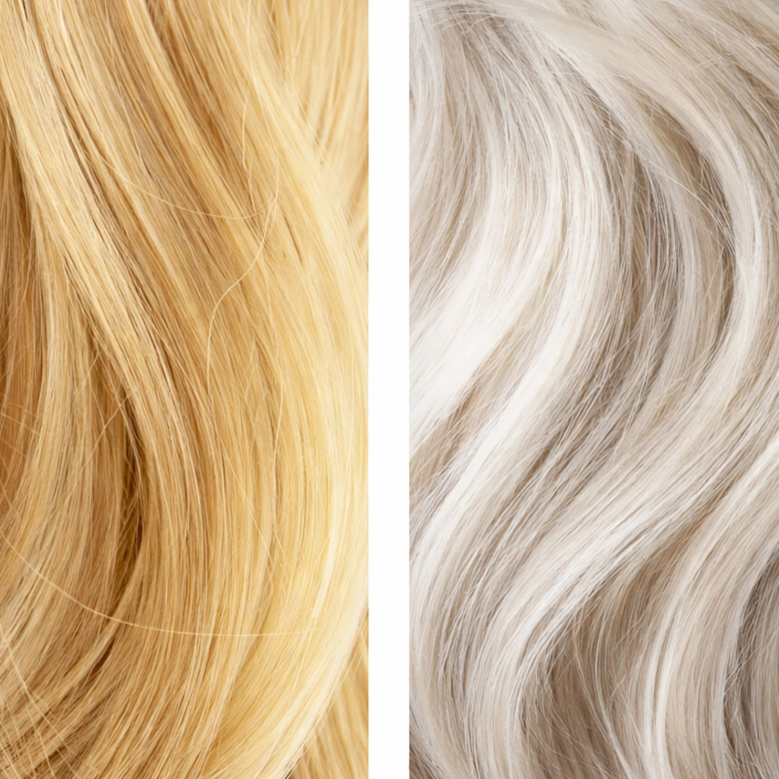 Toner at Summer's Blowout in Northbrook, IL