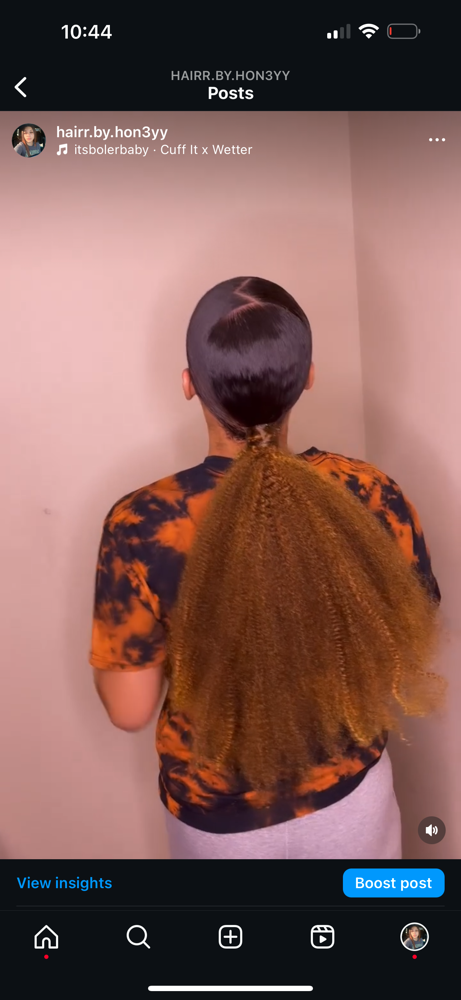 Slick Ponytail