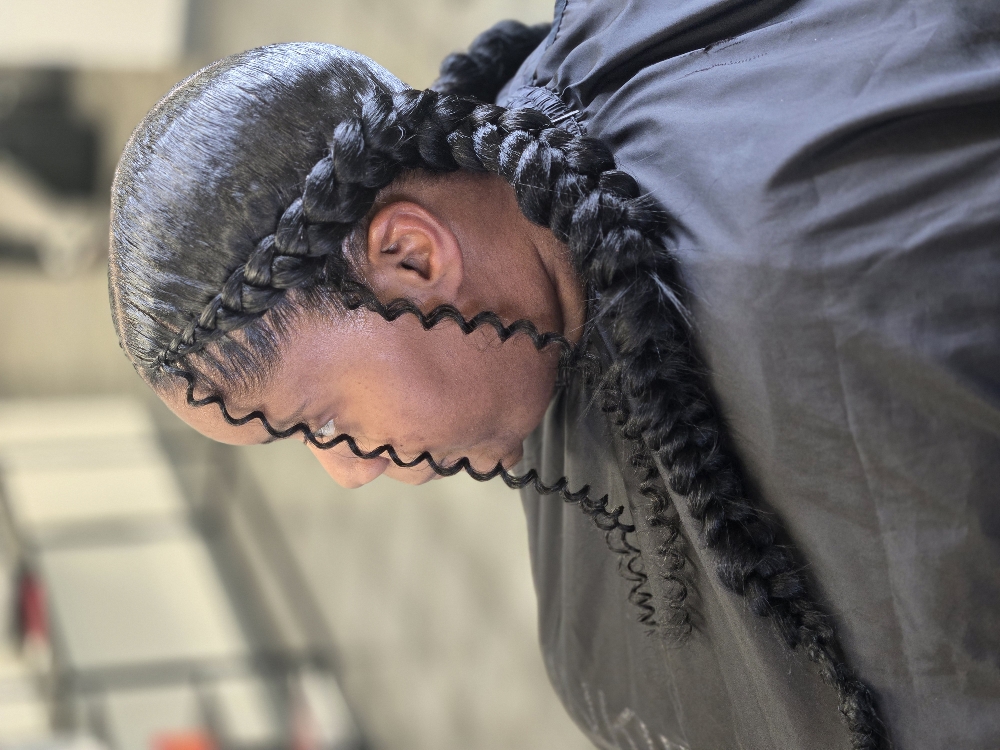 Two Braids Style