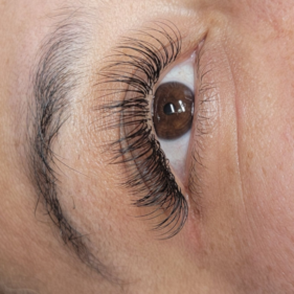 Classic Full Set at Fancy and Feathered in New Windsor, NY