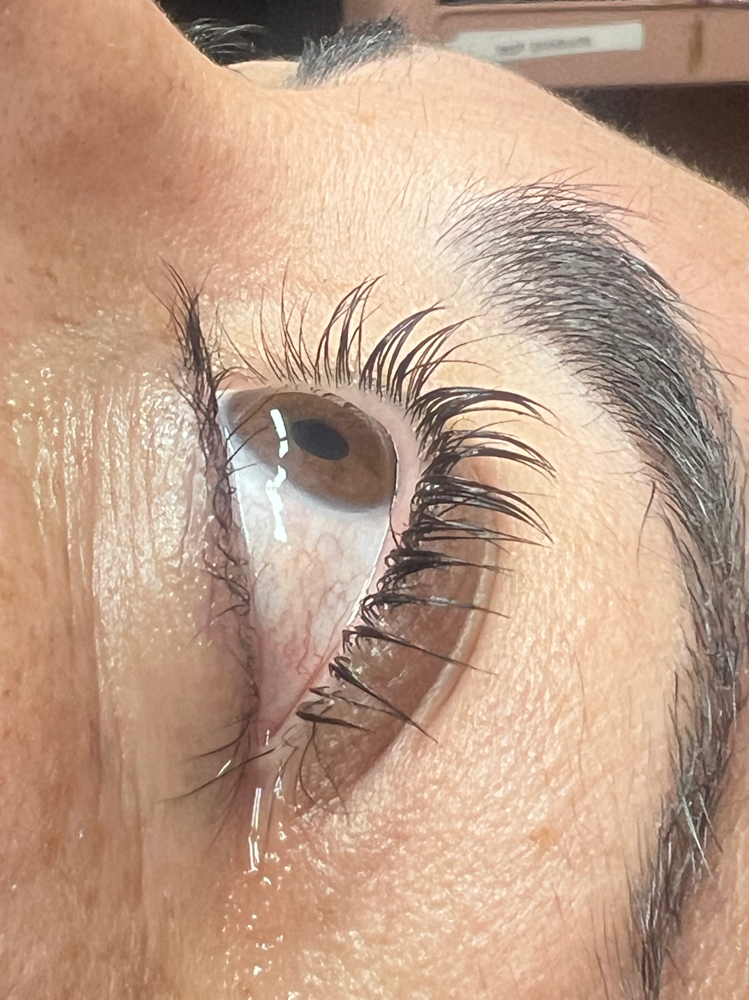 Korean/ regular Lash Lift With Tint at Studio 111 Lisa Amezcua in Fresno, CA