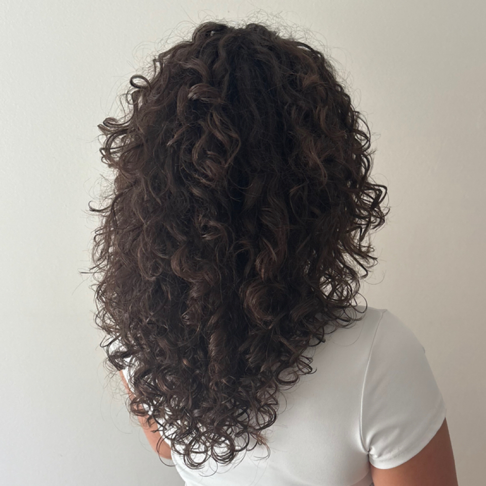 Curly Cut & Styling at Rinis Hair Suite 2 in Hopewell Junction, NY