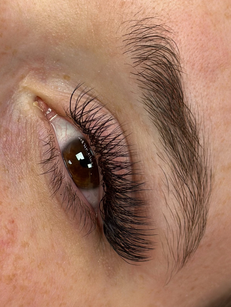 YY Lash Extensions at Lash & Brow Studio - Stacey Craft in atlanta, TX