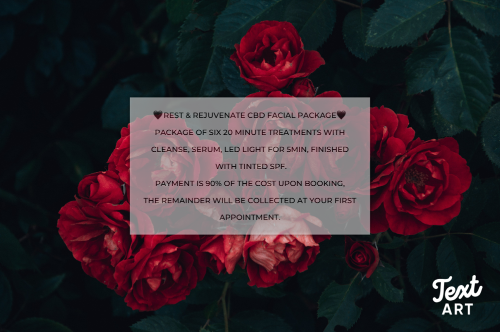 Rest & Rejuvenate Package Of 6