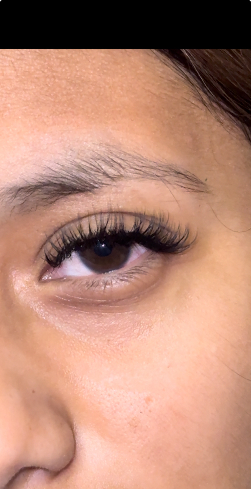 Classic Lash Fill