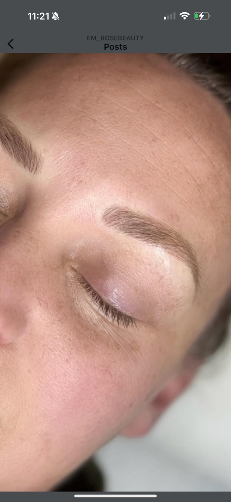 Annual Touchup - Microblading