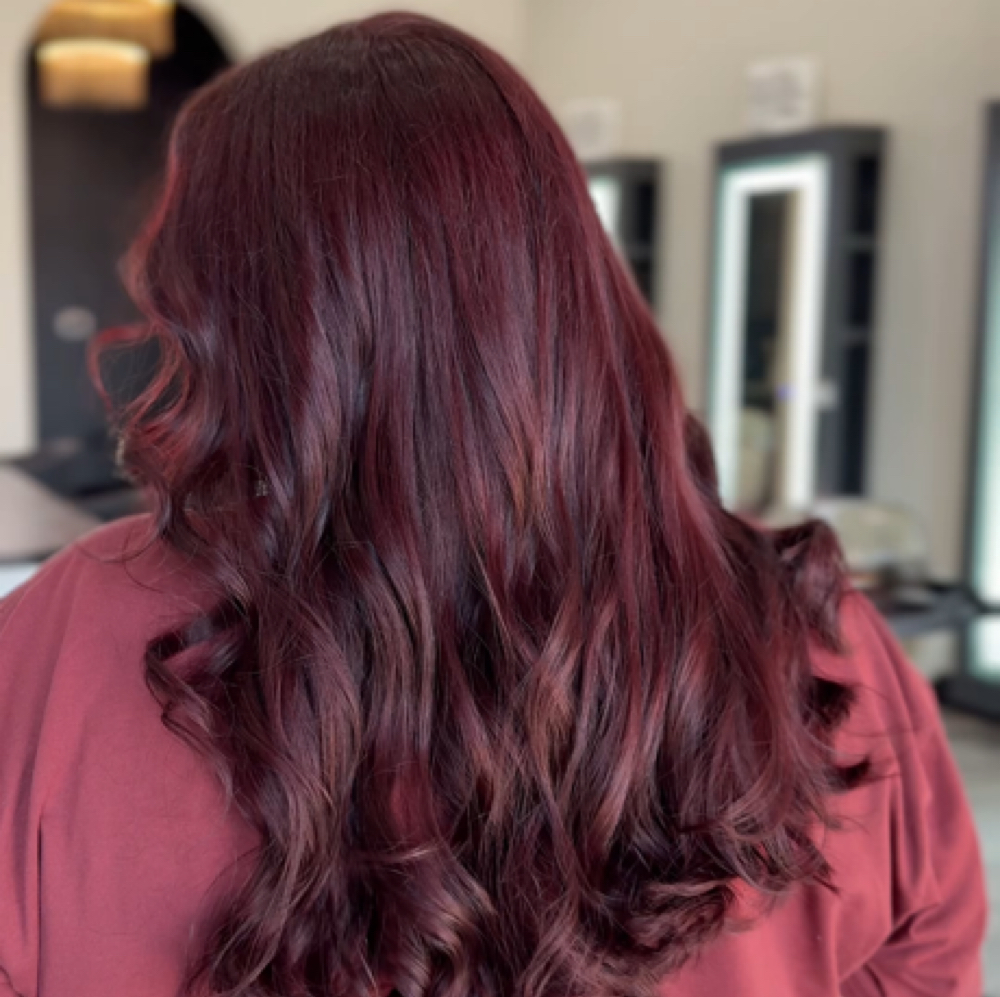 All Over Color at Freebird Salon in Yoakum, TX