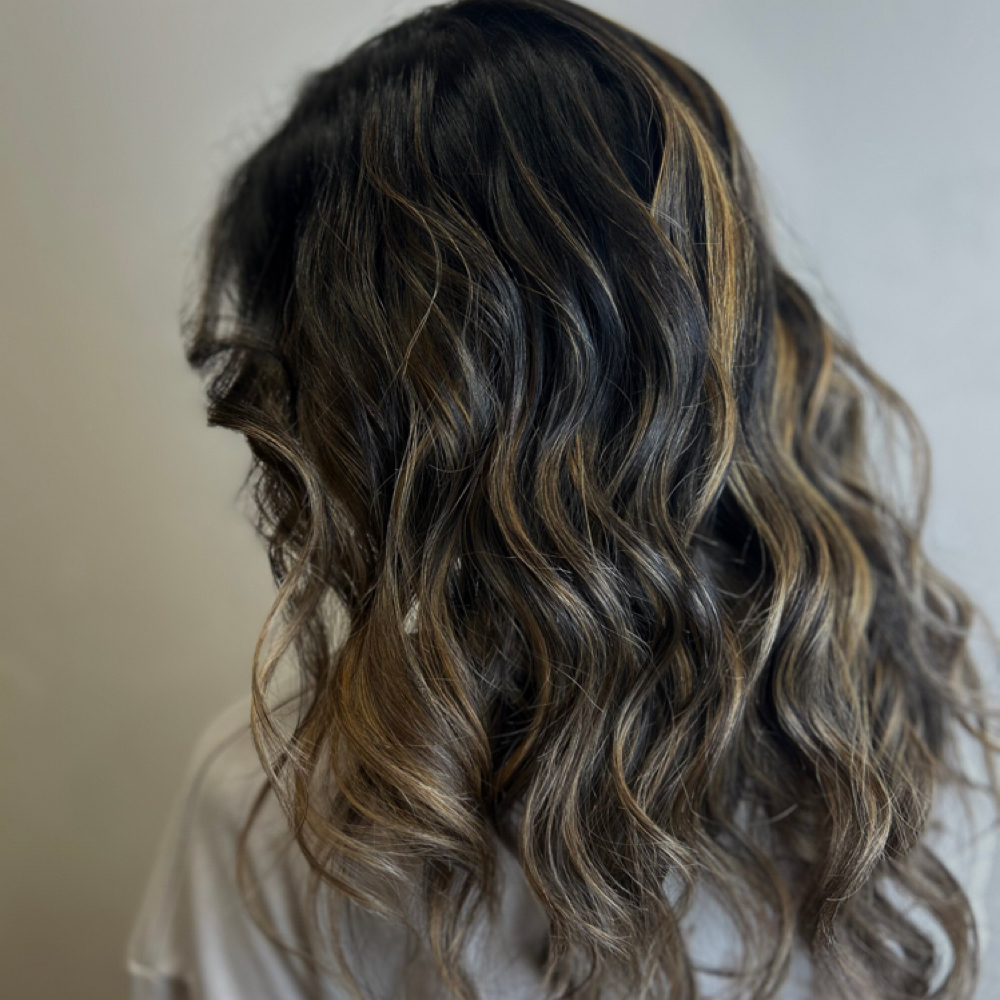 Simple Highlight at HairByKarlz in Carmel, IN