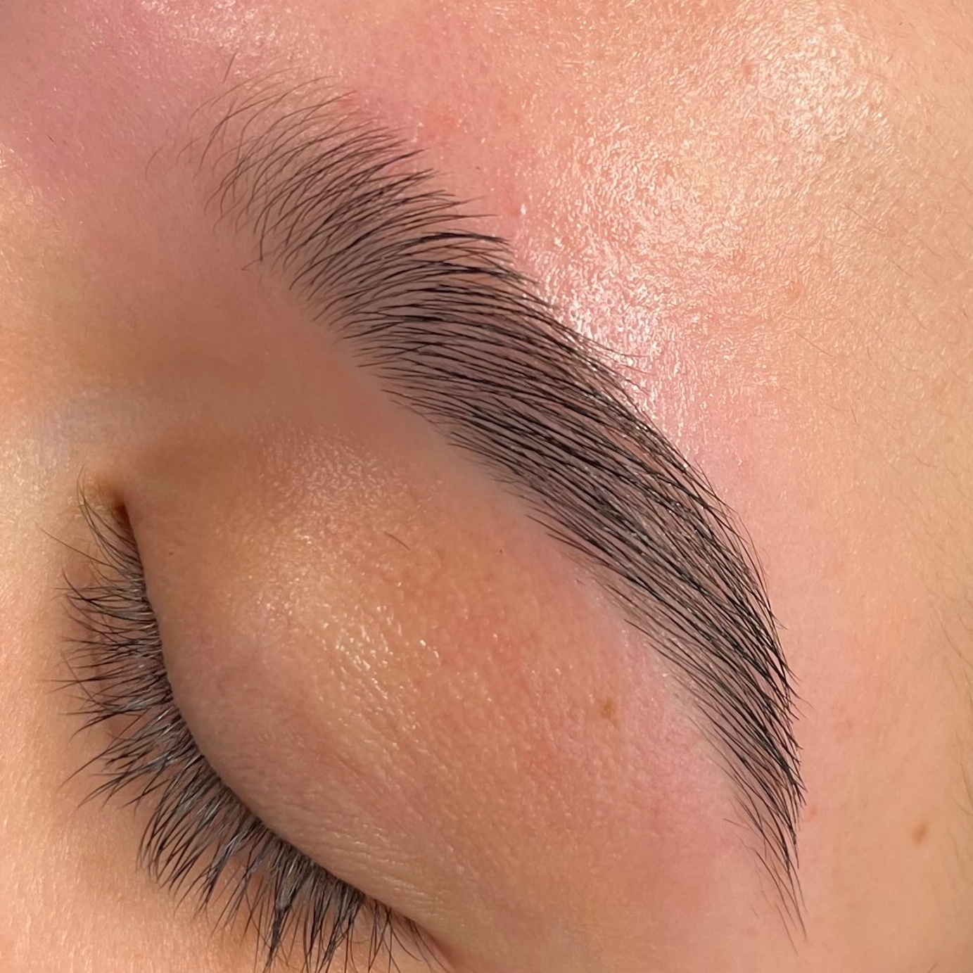 EYEBROW WAX at Glow Divino Studio in Phoenix, AZ