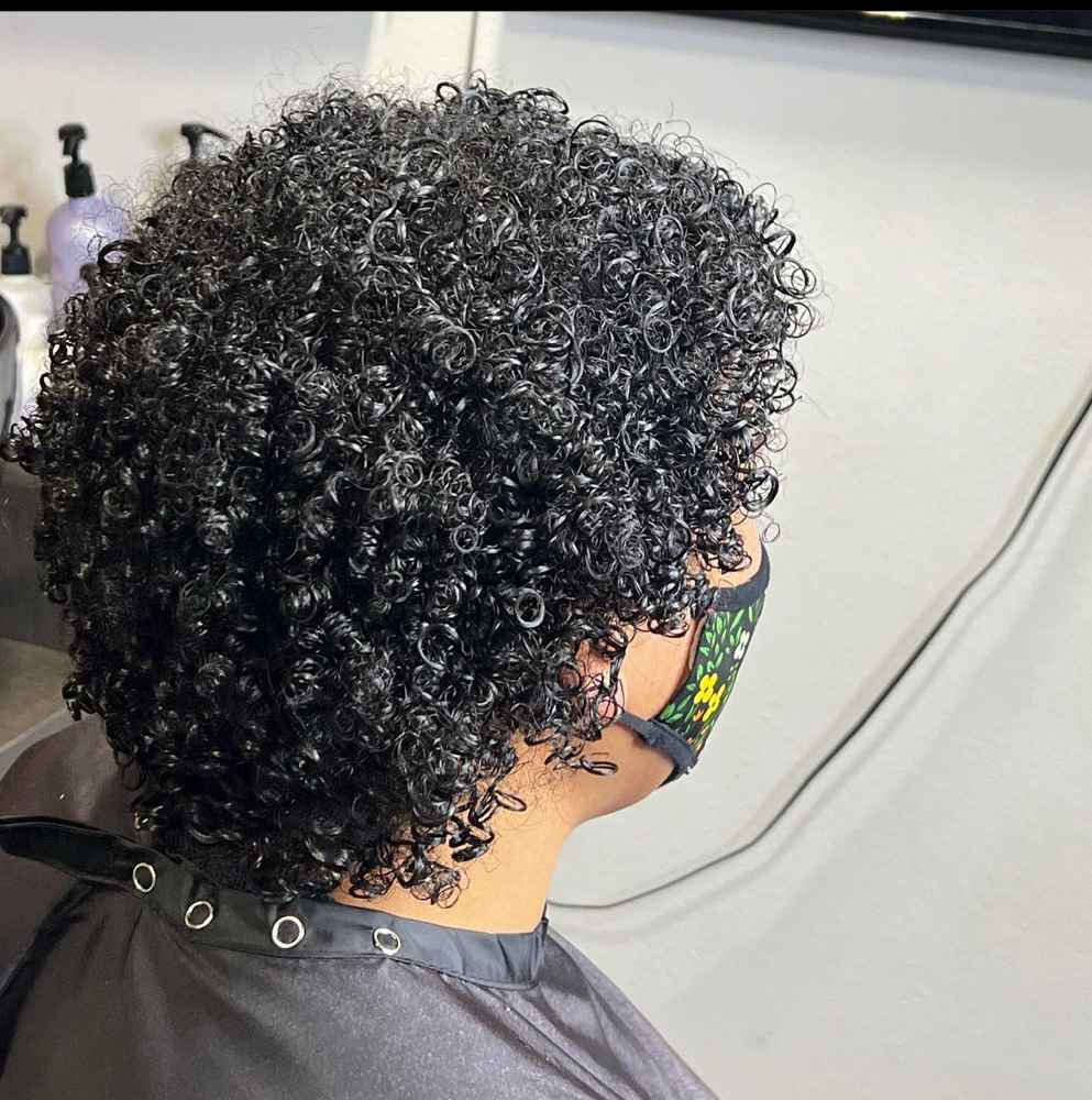 Curl Definition (Wash N Go)