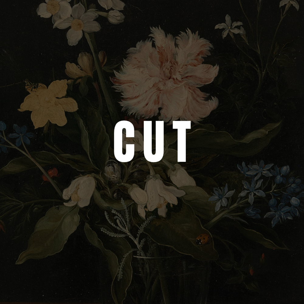 Cut Babe