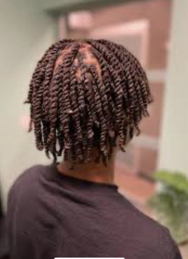 Two Strand Twist (natural Hair)