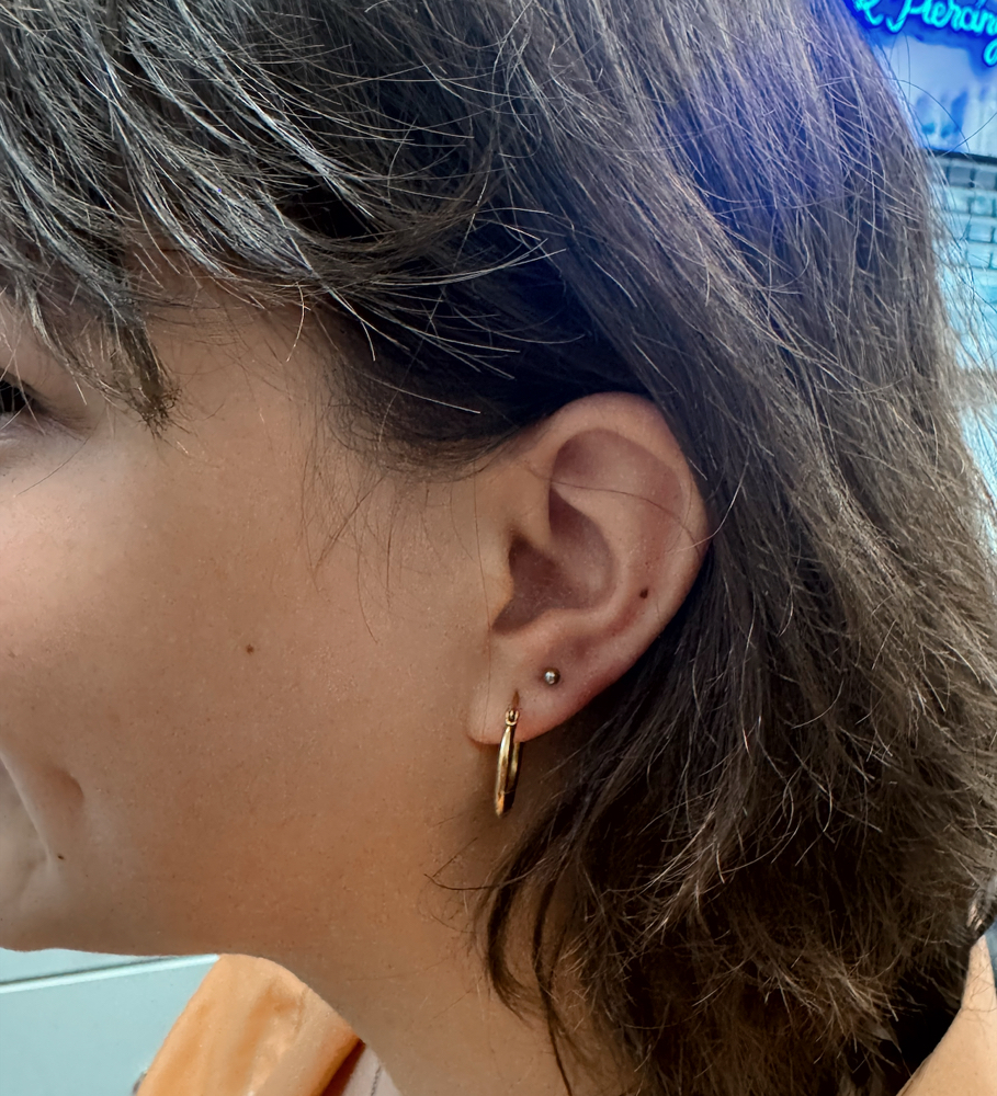 Second Lobes (Pair)