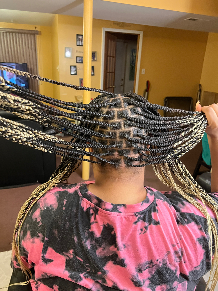 Smedium Sized Braids at E Creationz in Lynwood, IL