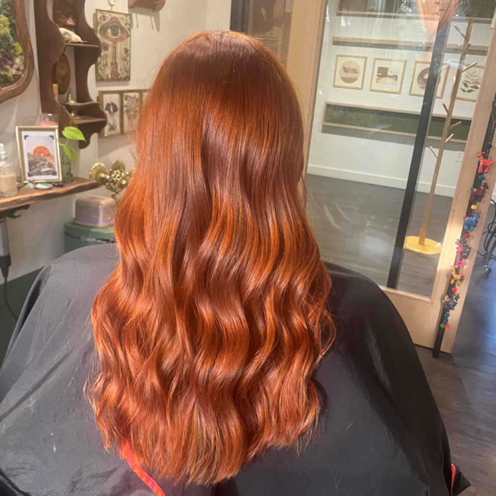 Gloss And Haircut at Hair By SG—@ Moss Salon Studios in Kansas City, MO