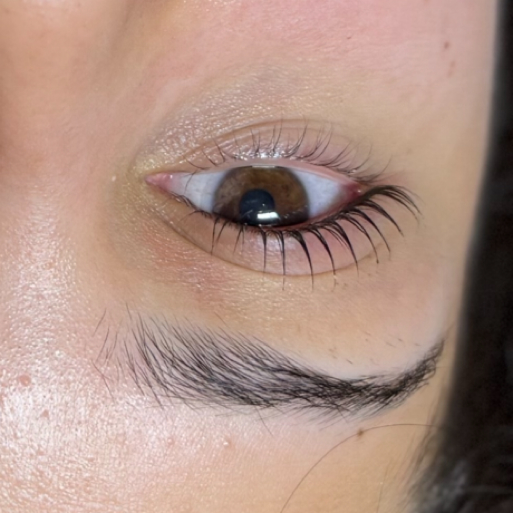 Korean Lash Lift ONLY at LUSCIOUS LASHES BEAUTY STUDIO in Garland, TX