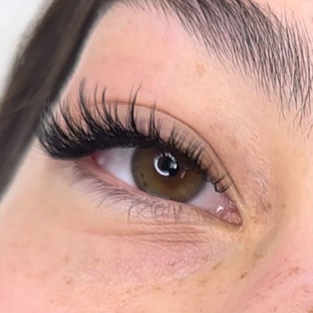 Hybrid 4 Week Fill at Ash’s Lashes in Apple Valley, MN