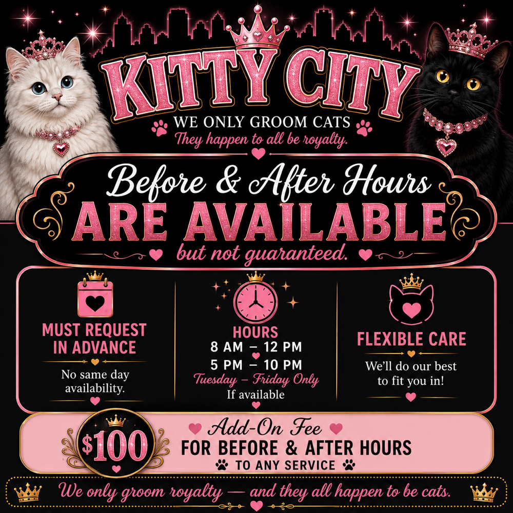 Before & After Hours at Kitty City Tacoma Cat Grooming in Tacoma, WA