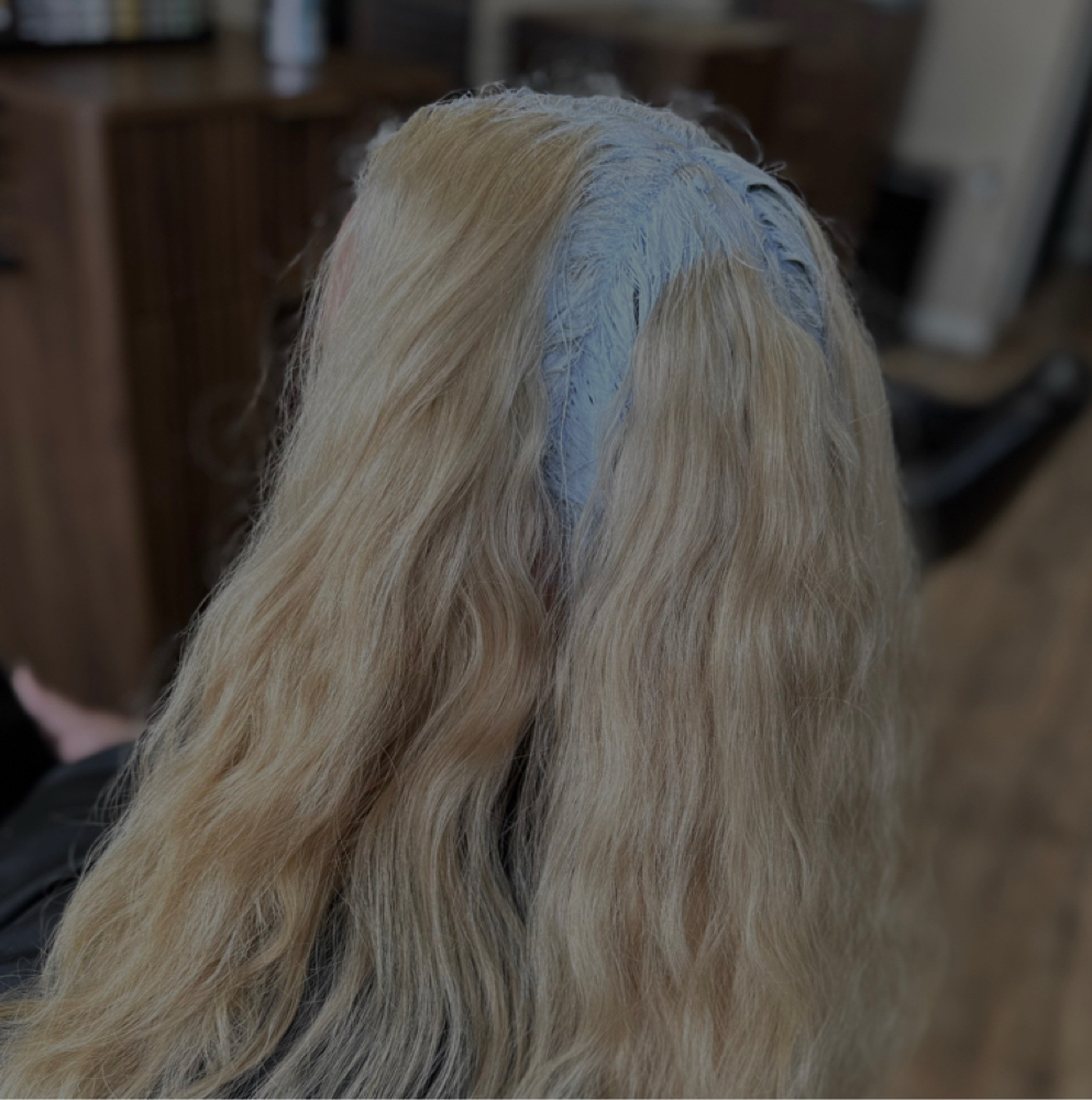 Pre-Vivid Lighten at Hair by Emma in Waite Park, MN