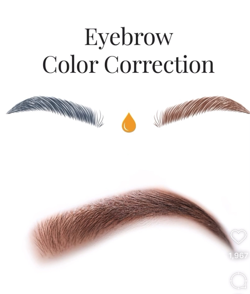 Corrective Brow Pigmenation