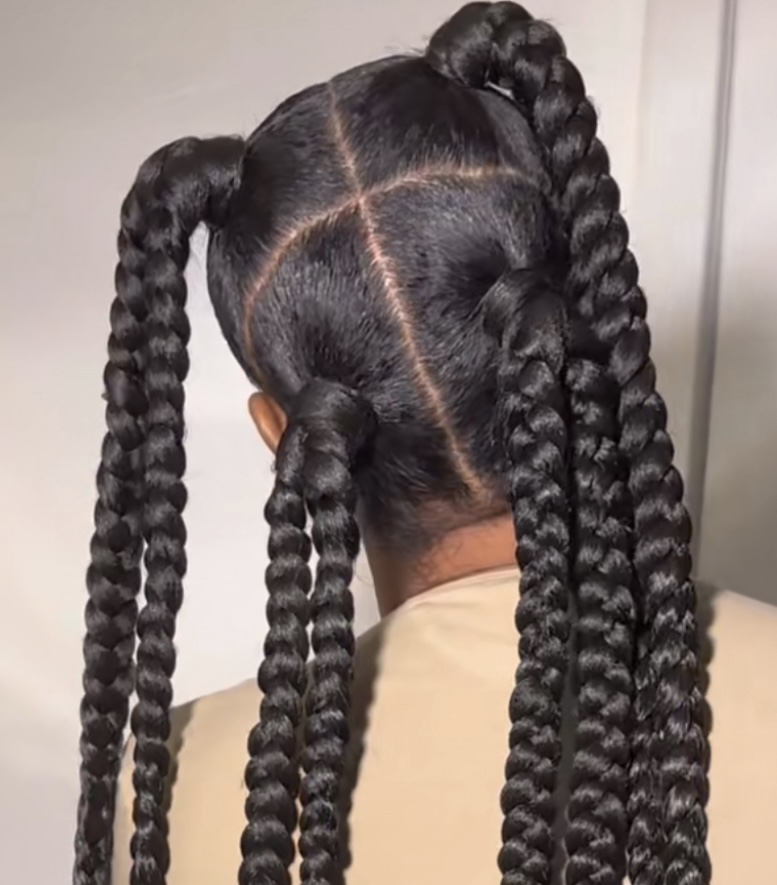 Four Double Braid Ponytail at Hair N Nails By La in Loganville Ga, GA