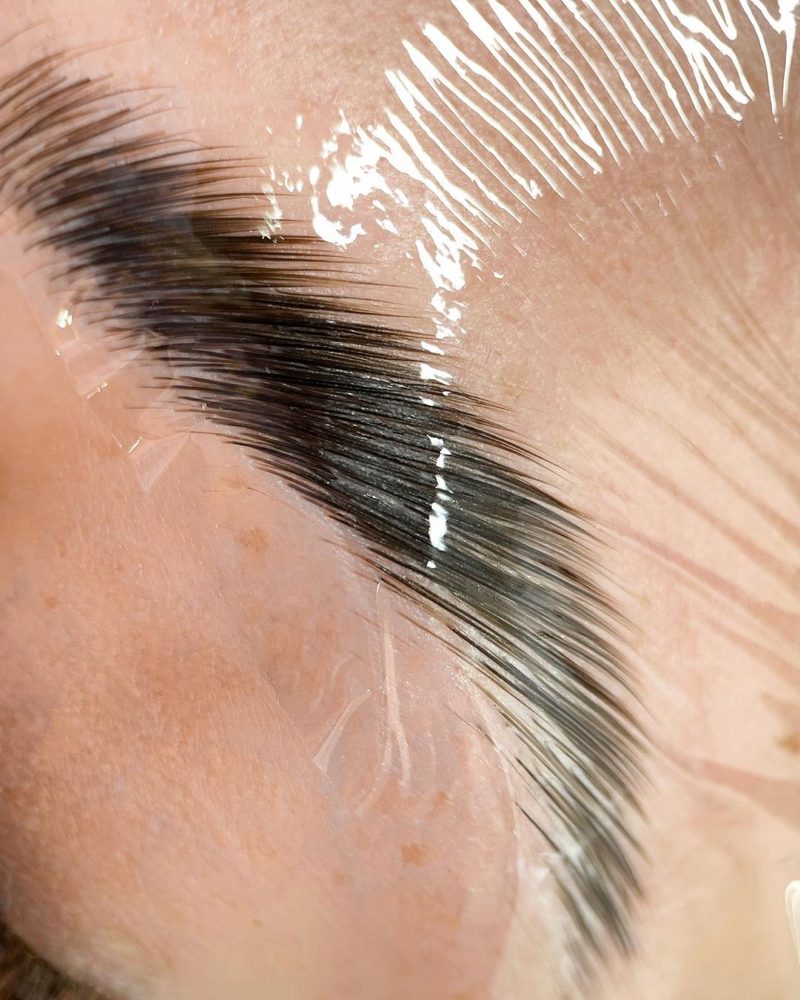 Signature Brow Sculpt & Tint at Rêvive in Lake Worth Beach, FL