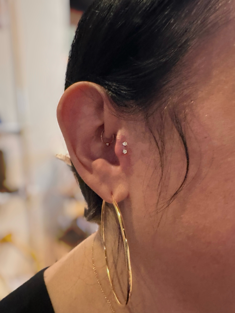 Double Tragus