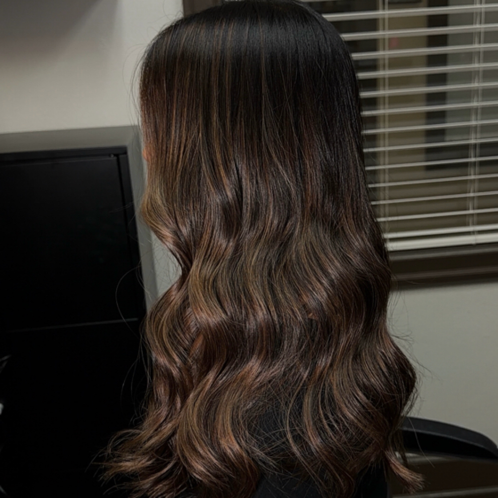 Balayage Color Only at Diana-Gonzalez 22 studio in Bolingbrook, IL