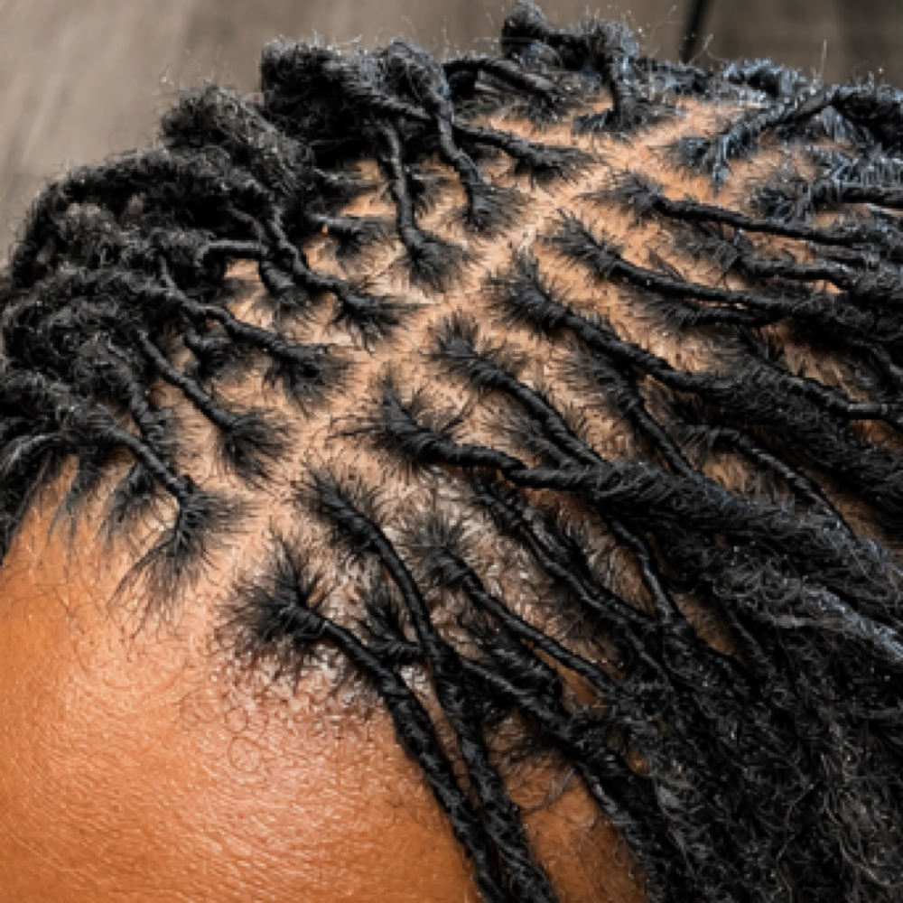 Microlocs Starter Locs at DeLisha Doin’ Locs Well in Charlotte, NC