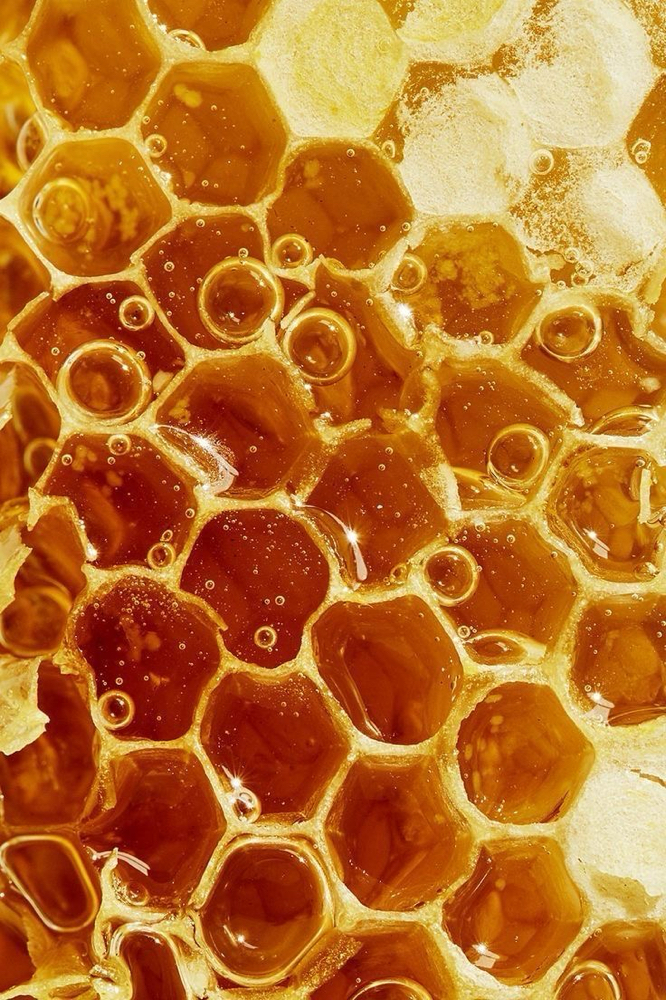 Golden Honey Facial with Dermaplane