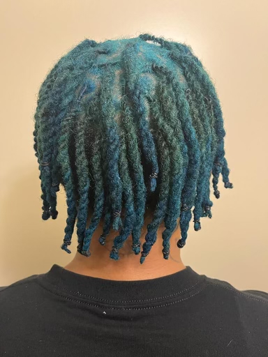 2 Strand Twist Half Head