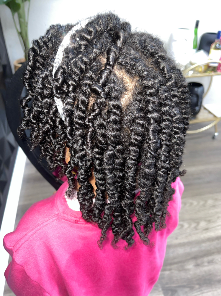 Natural Hair Twist Out