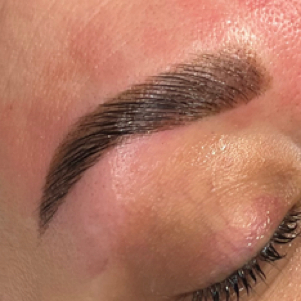 Eyebrow Wax + Defined Tint at Plum Esthetics in San Antonio, TX