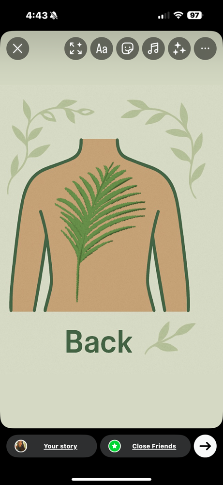 Full Back