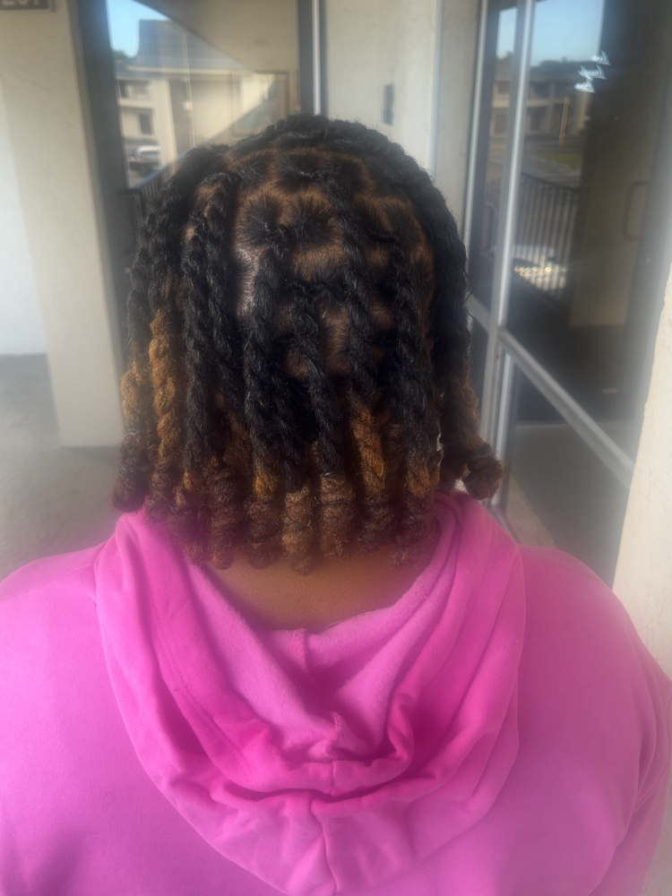 Starter Traditional Locs