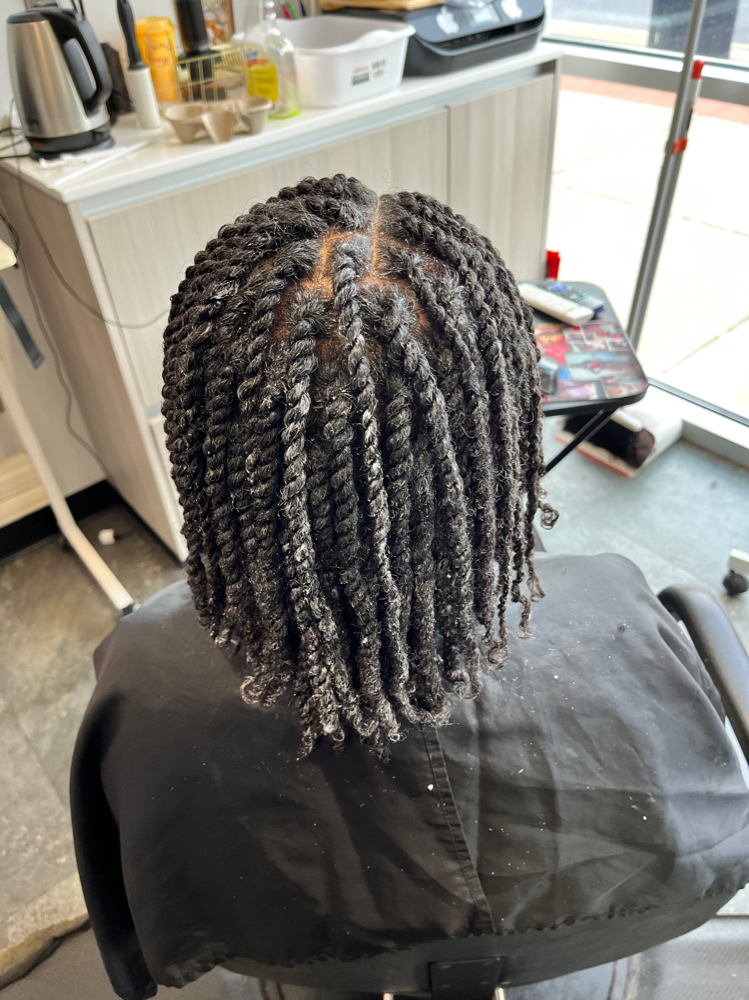 Two Strand Twists/Individual Braids