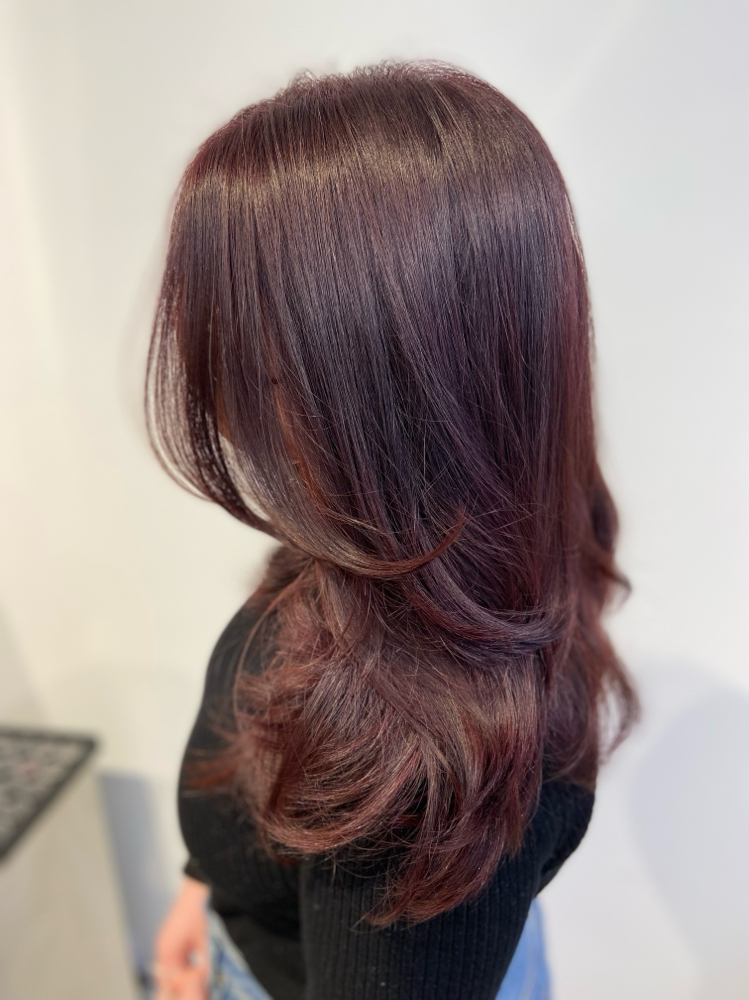 SALON • Gloss/Toner