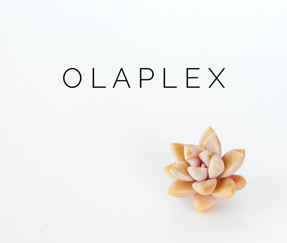 Olaplex Treatment