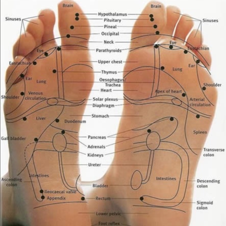 Reflexology