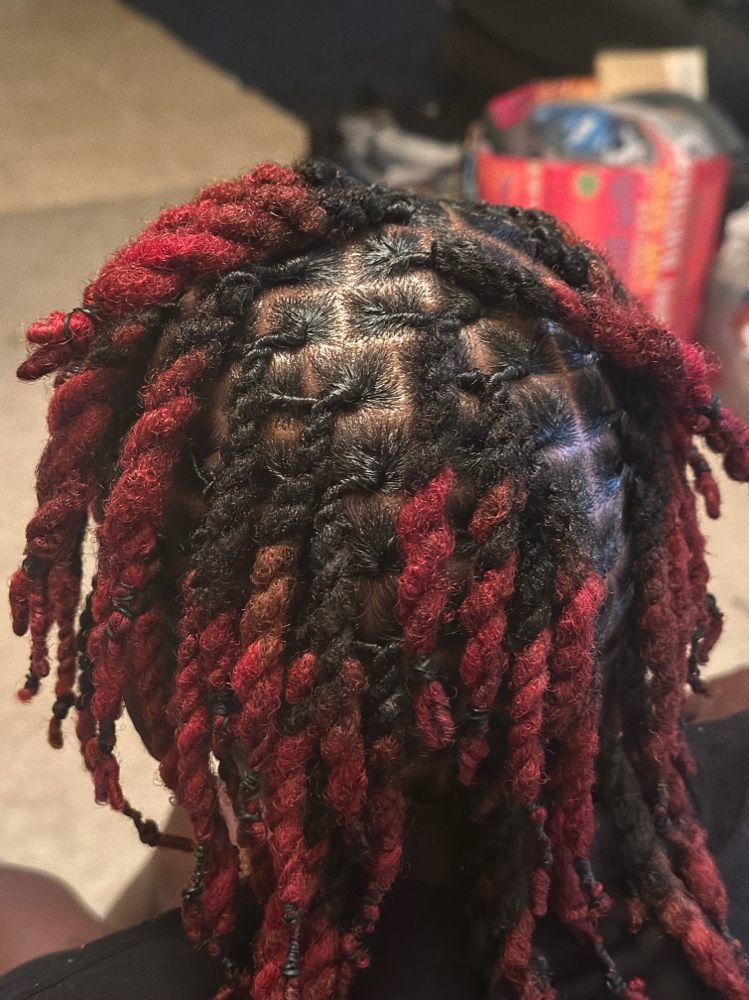 2 Strand Twist