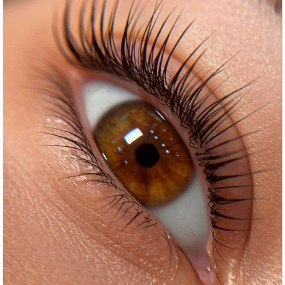 Lash Tint at Joaquin  Hinojosa Studio in Chicago, IL