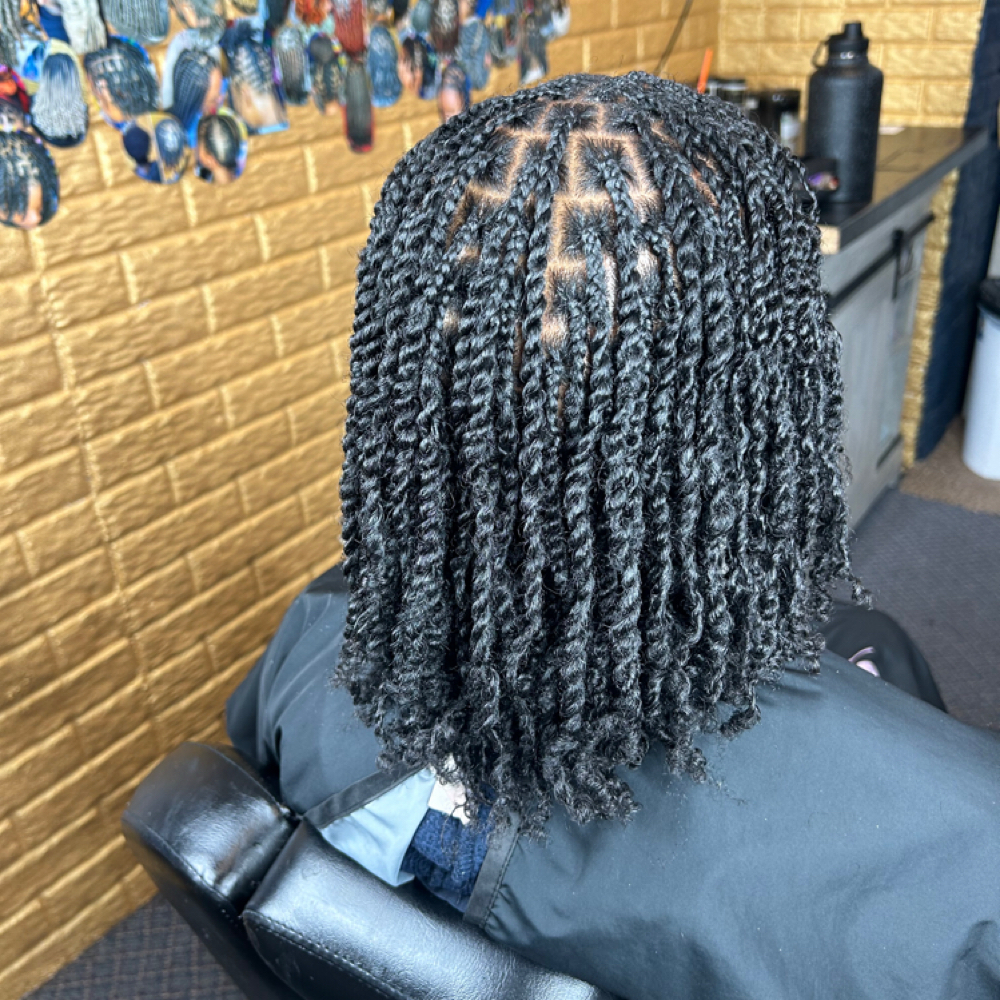 Two strand twist on natural hair at Locs O’ Luv by Nola in Bloomington, IL